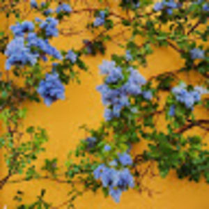 Meet your Posher, Pooja